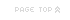 LinkIcon